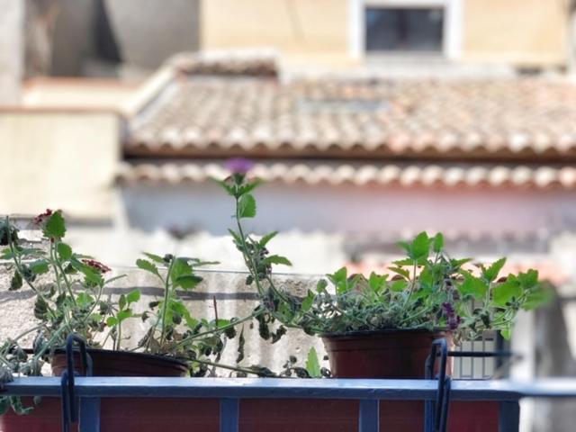 Old Catania Terrace Apartment Exterior foto